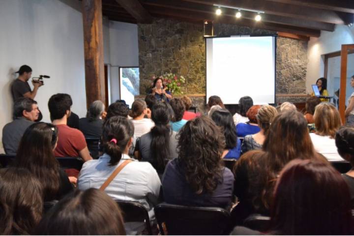 Casa Alfredo Zalce, sede de la ponencia "La Mujer en el Arte Contemporáneo"  