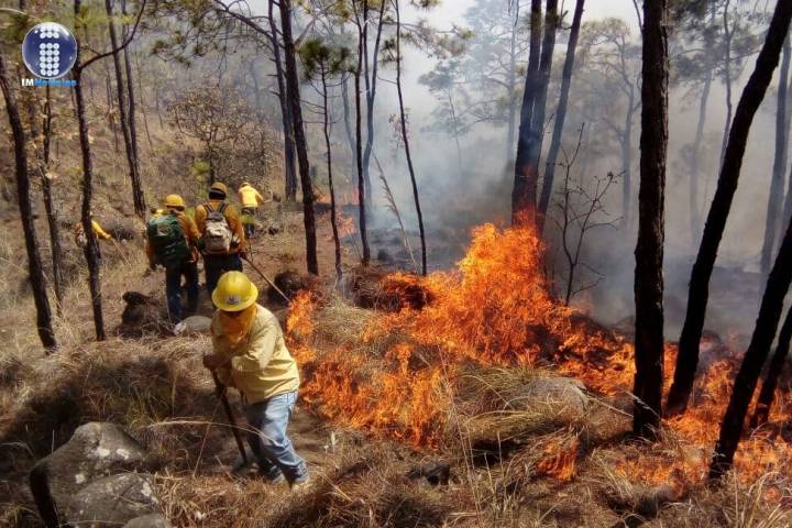 Bomberos y brigadistas combaten incendio forestal en Uruapan 