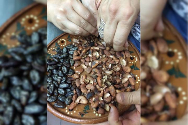 El legado del chocolate artesanal en el Museo del Estado