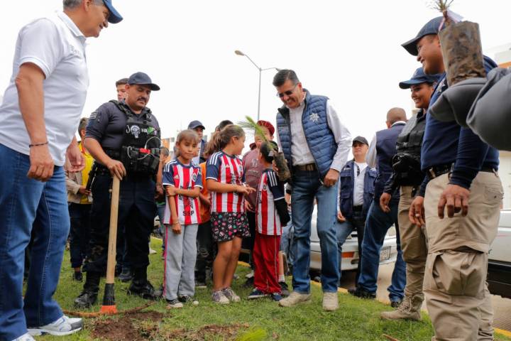 Realiza SSP reforestación en Villas del Pedregal      