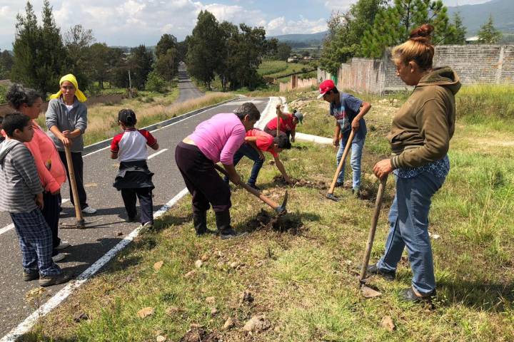 Realiza SSP jornada de reforestación en Uruapilla      