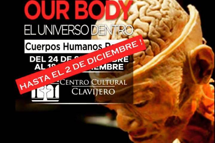 "Our Body, El Universo Dentro", se queda en el Clavijero hasta el 2 de diciembre