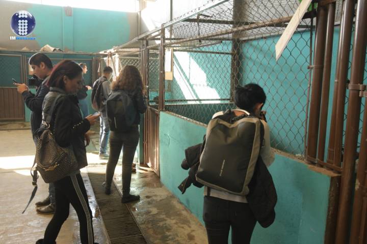 Centro de Atención Animal con apertura a la ciudadanía