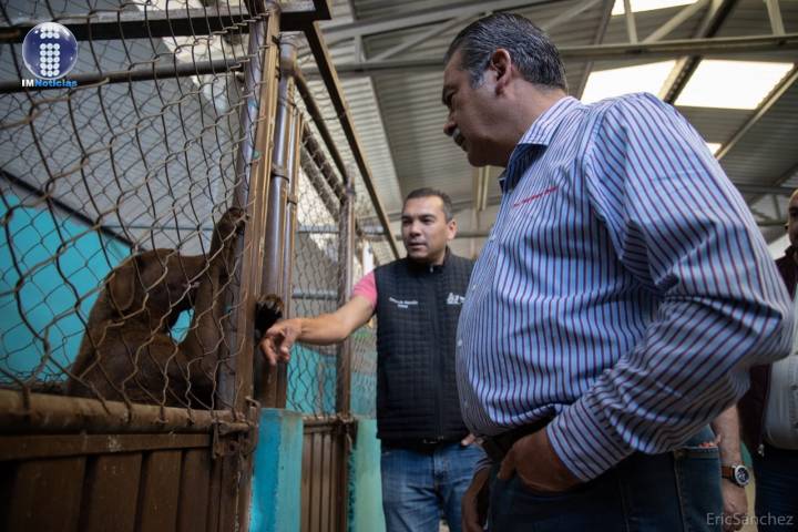 Supervisa Morón el Centro de Atención Animal