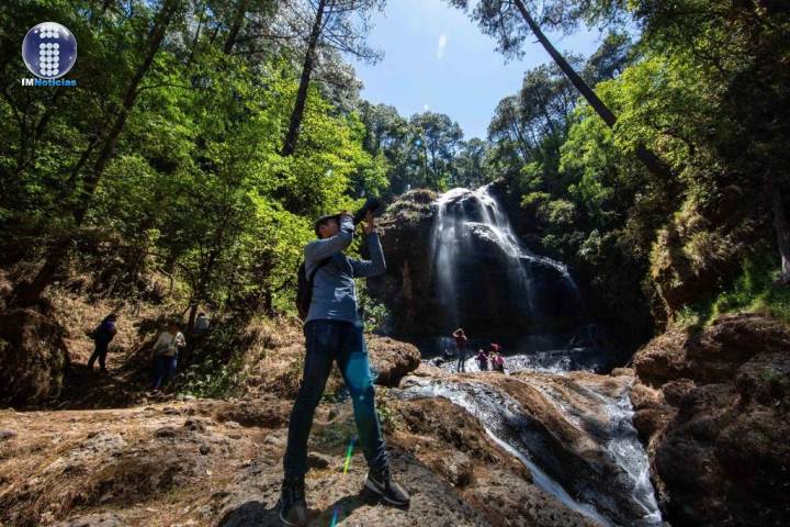 Regresan los recorridos turísticos gratuitos de "Vive tus tenencias"