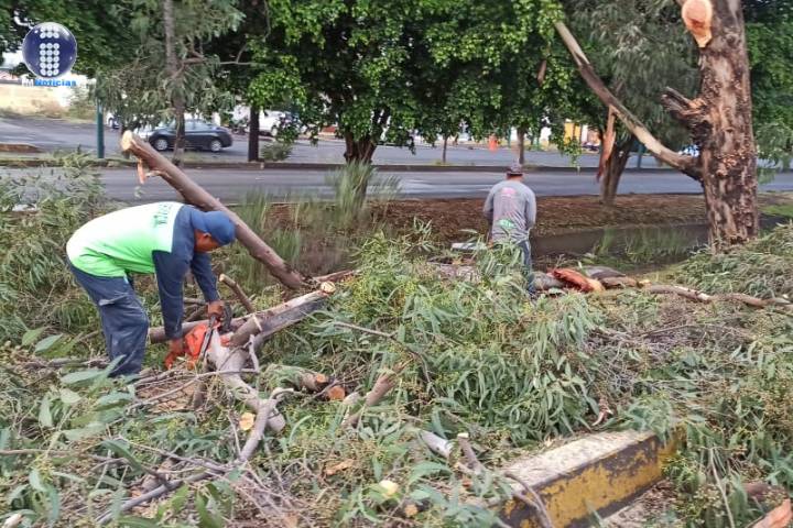 Gobierno de Morelia continua acciones de limpieza por  tormenta del pasado martes