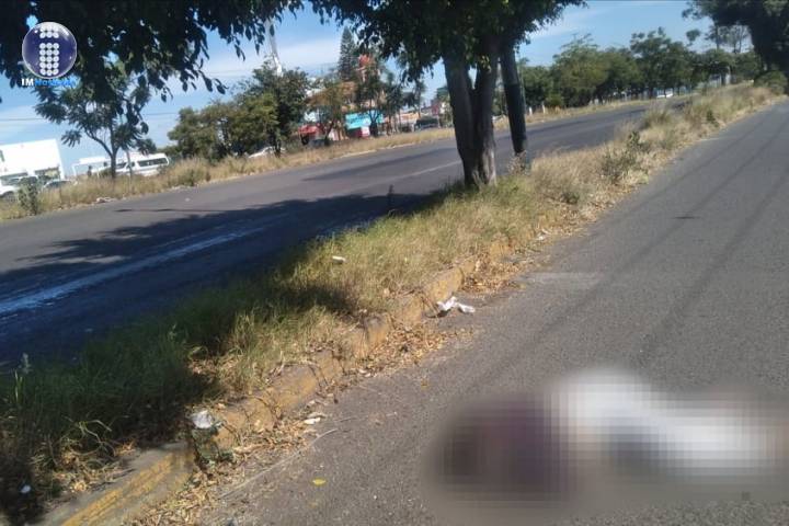 Transeúnte es atropellada en el periférico de Morelia 