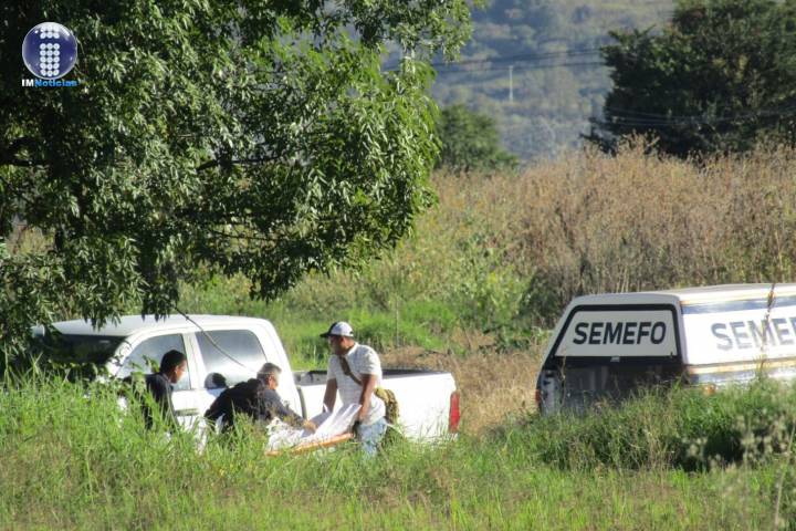 Hallan un ejecutado en sembradío de Zamora 