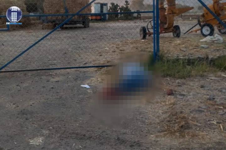 Hallan a hombre ejecutado y maniatado en Álvaro Obregón 