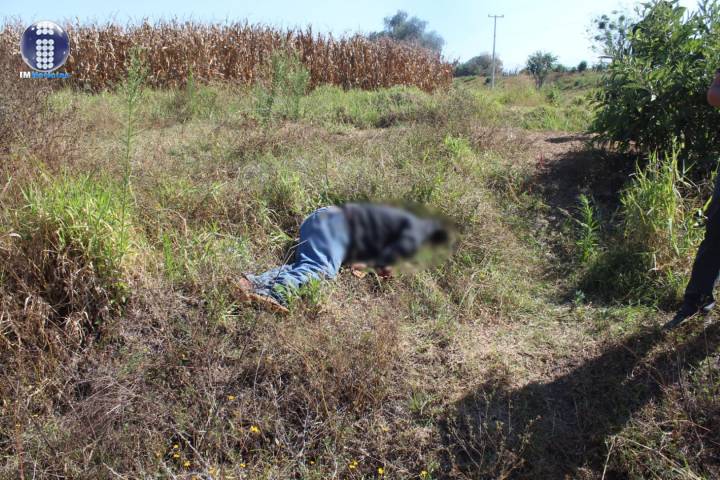 Hallan un hombre ejecutado en Ario de Rayón