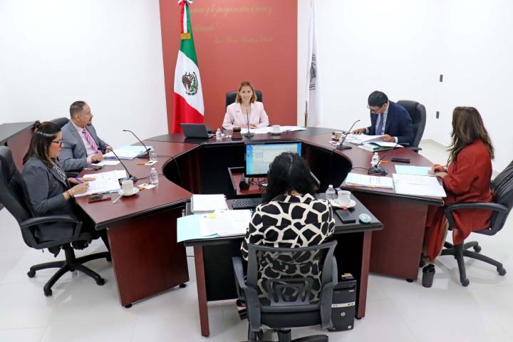 Designa Tribunal presidente sustituto y titulares de Comisiones   