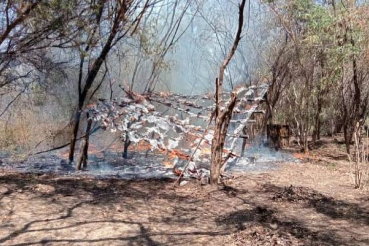 SSP y Defensa localizan campamento clandestino en Parácuaro 