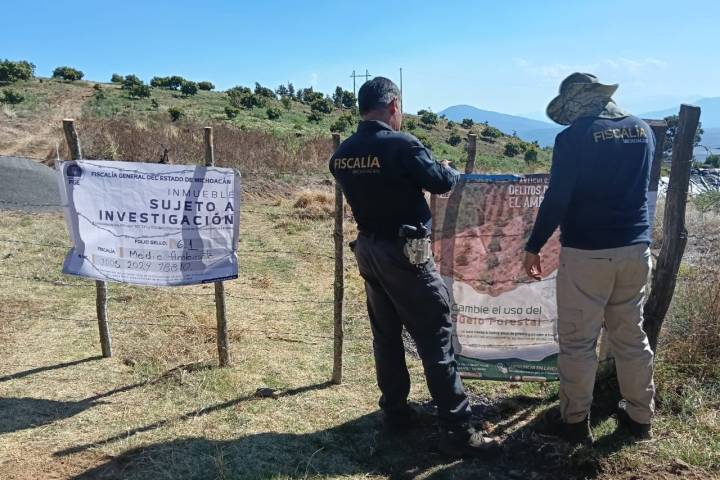 Cumplimenta FGE cateo en  predio relacionado en tala y cultivo ilegal de aguacate