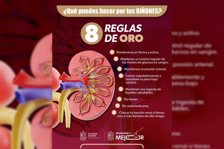 Hábitos saludables, la mejor defensa para prevenir la insuficiencia renal: SSM