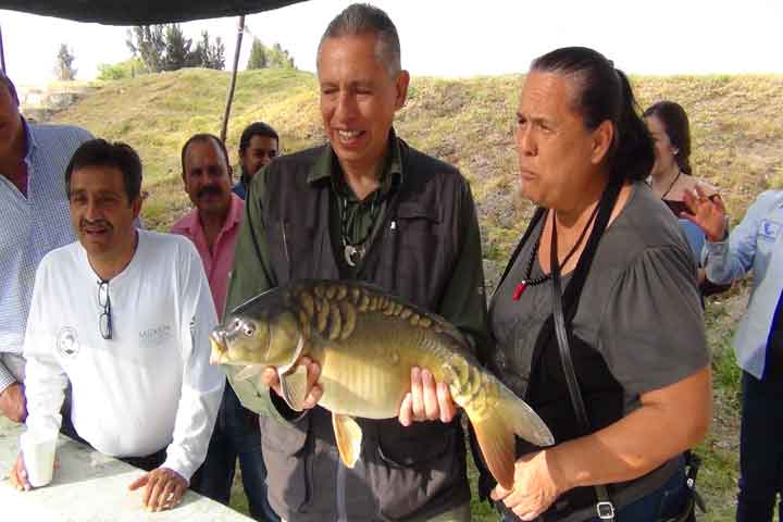 Libera Sagarpa 500 mil crías de peces