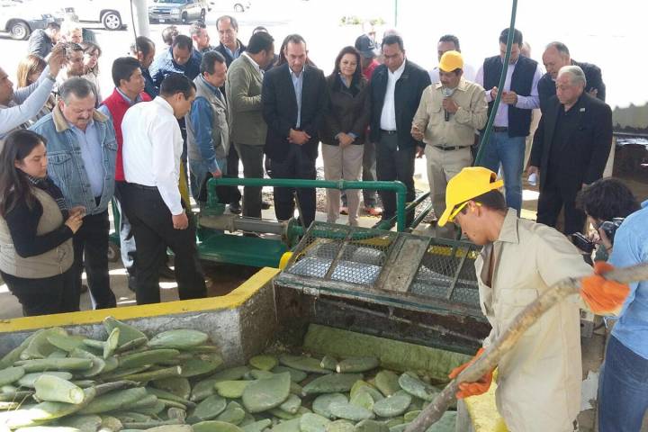 En Michoacán, la primera planta de biogás de nopal a nivel mundial  